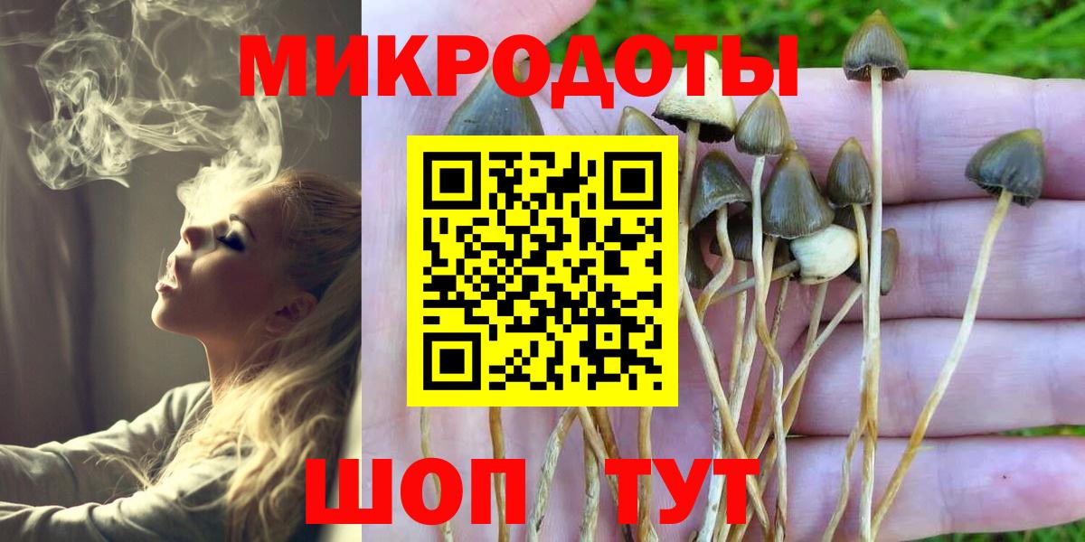 даркнет сайт  Вход с VPN  Екатеринбург  Галлюциногенные грибы Psilocybine cubensis 